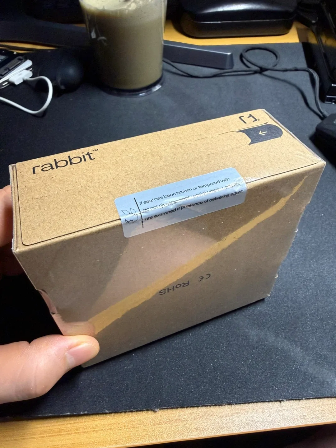 New Rabbit r1 AI Device