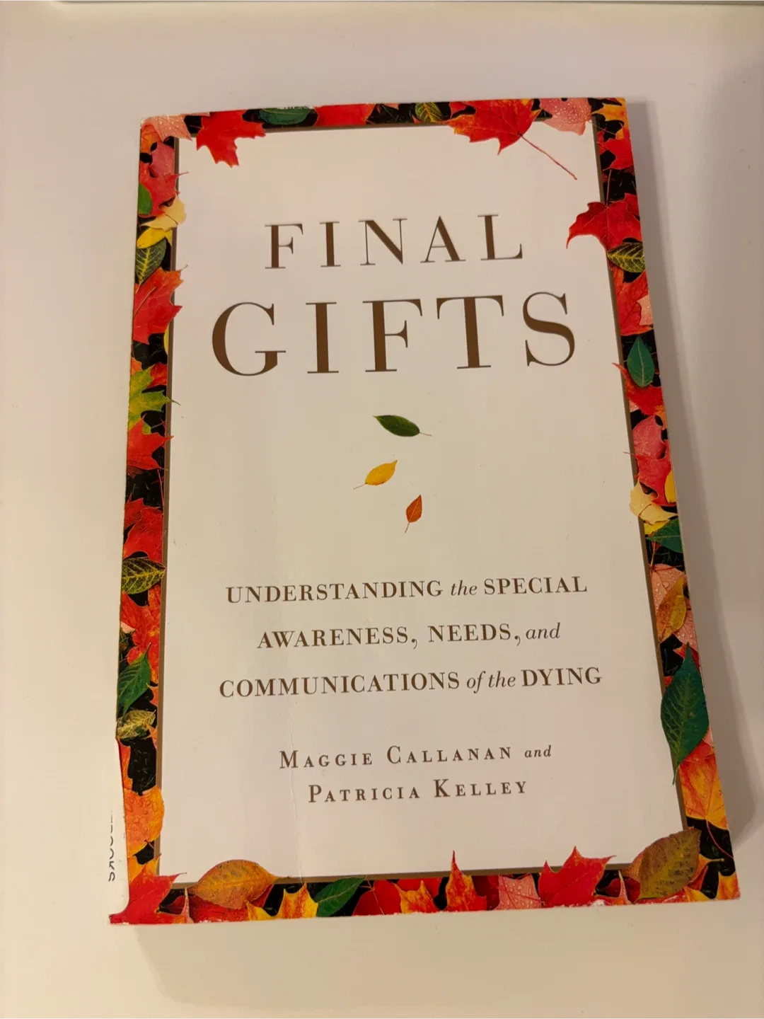 Final Gifts: Understanding the Dying