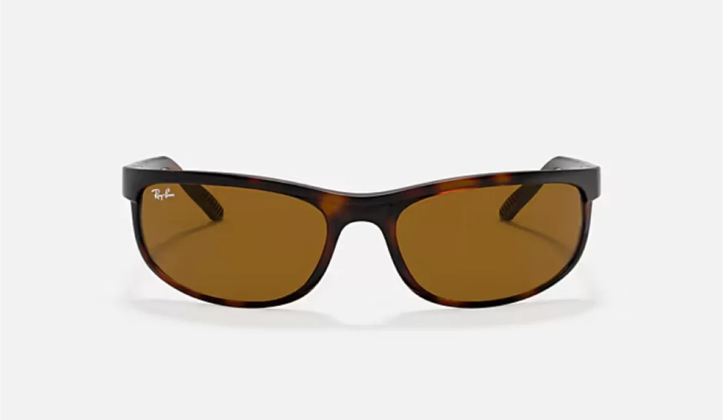 Ray-ban Predator 2 Sunglasses image indicator(3)