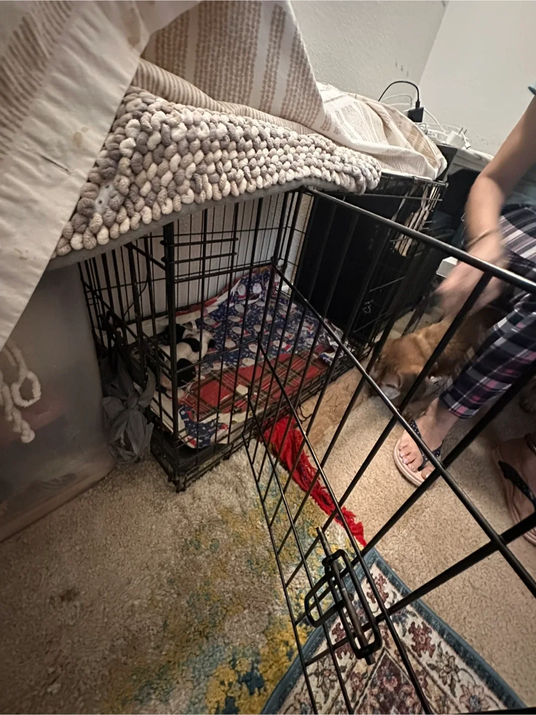 Dog Crate - Black image indicator(2)