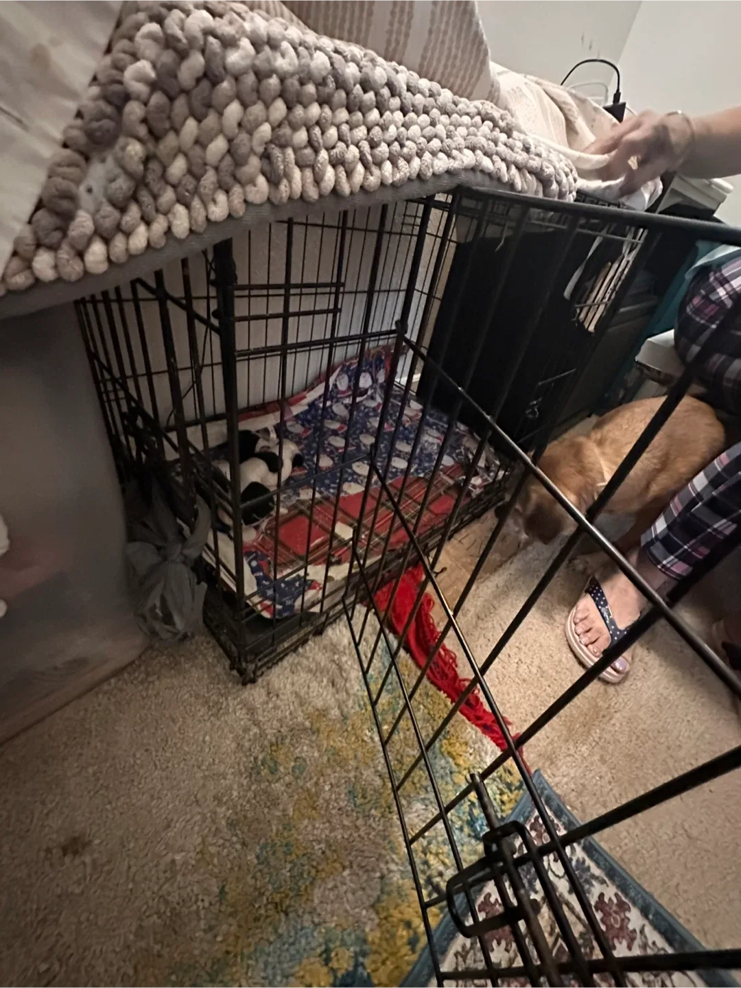 Dog Crate - Black image indicator(3)