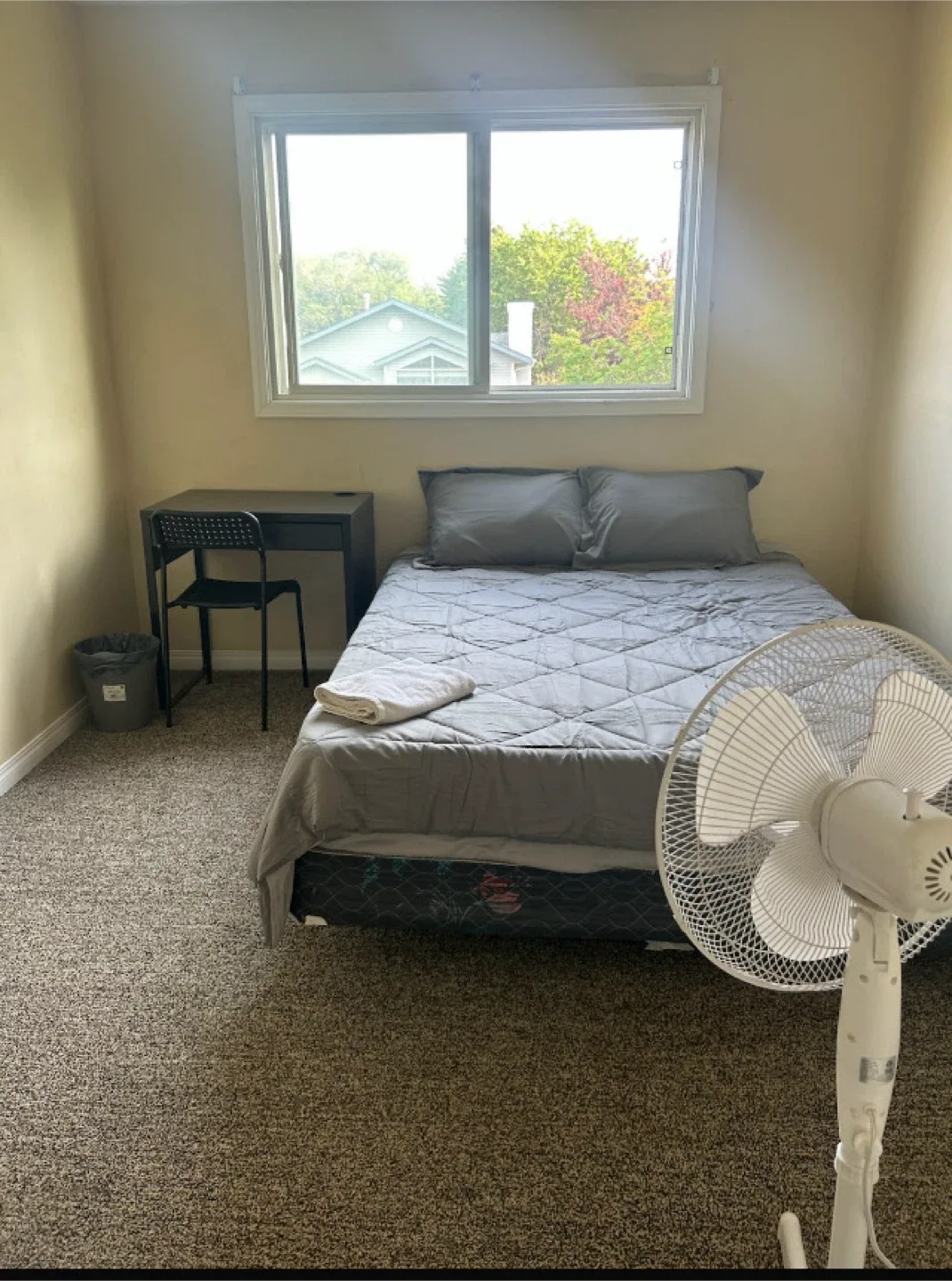Room for rent in short term stay in UA area Edmonton