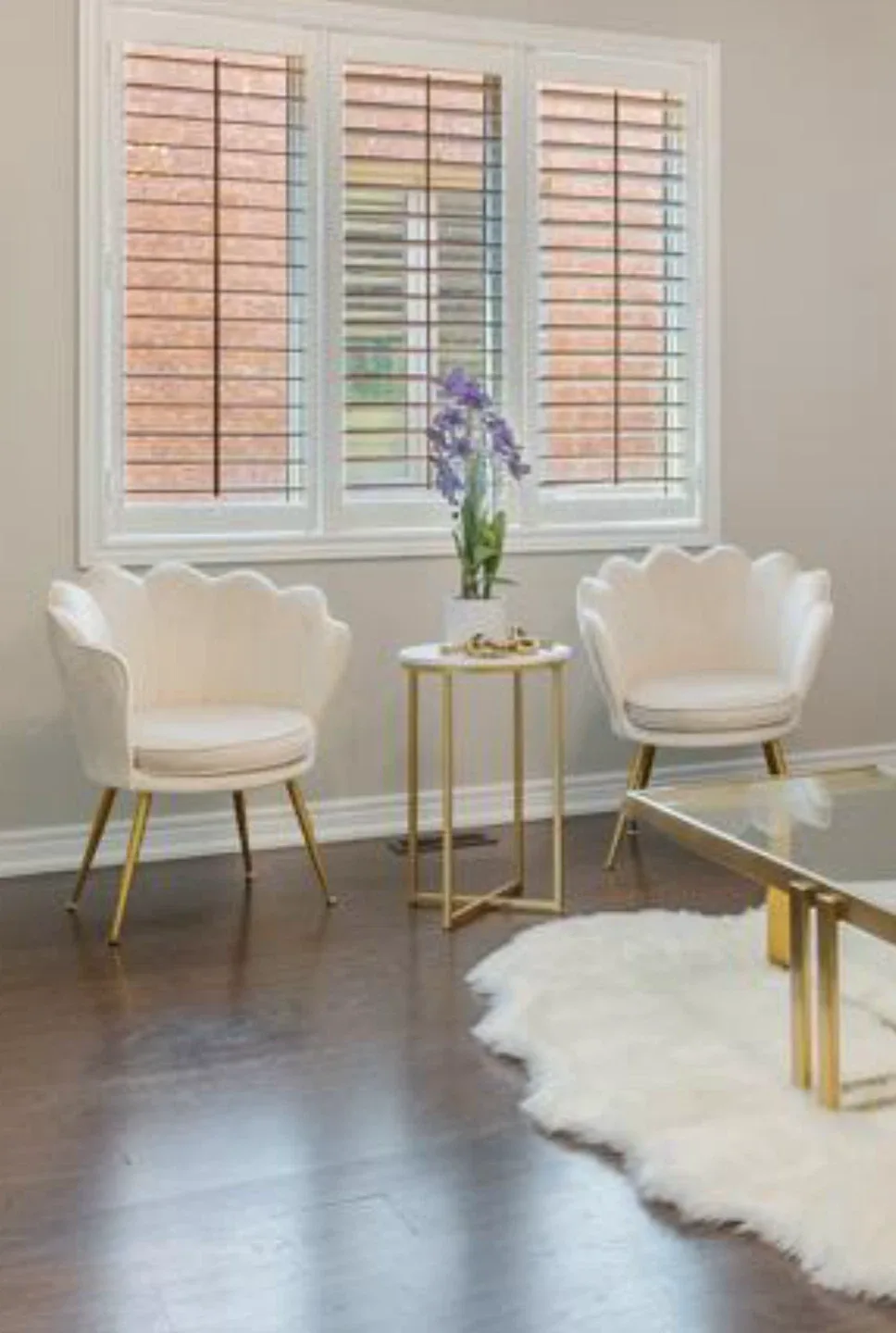 Velvet Chairs - Set of 2