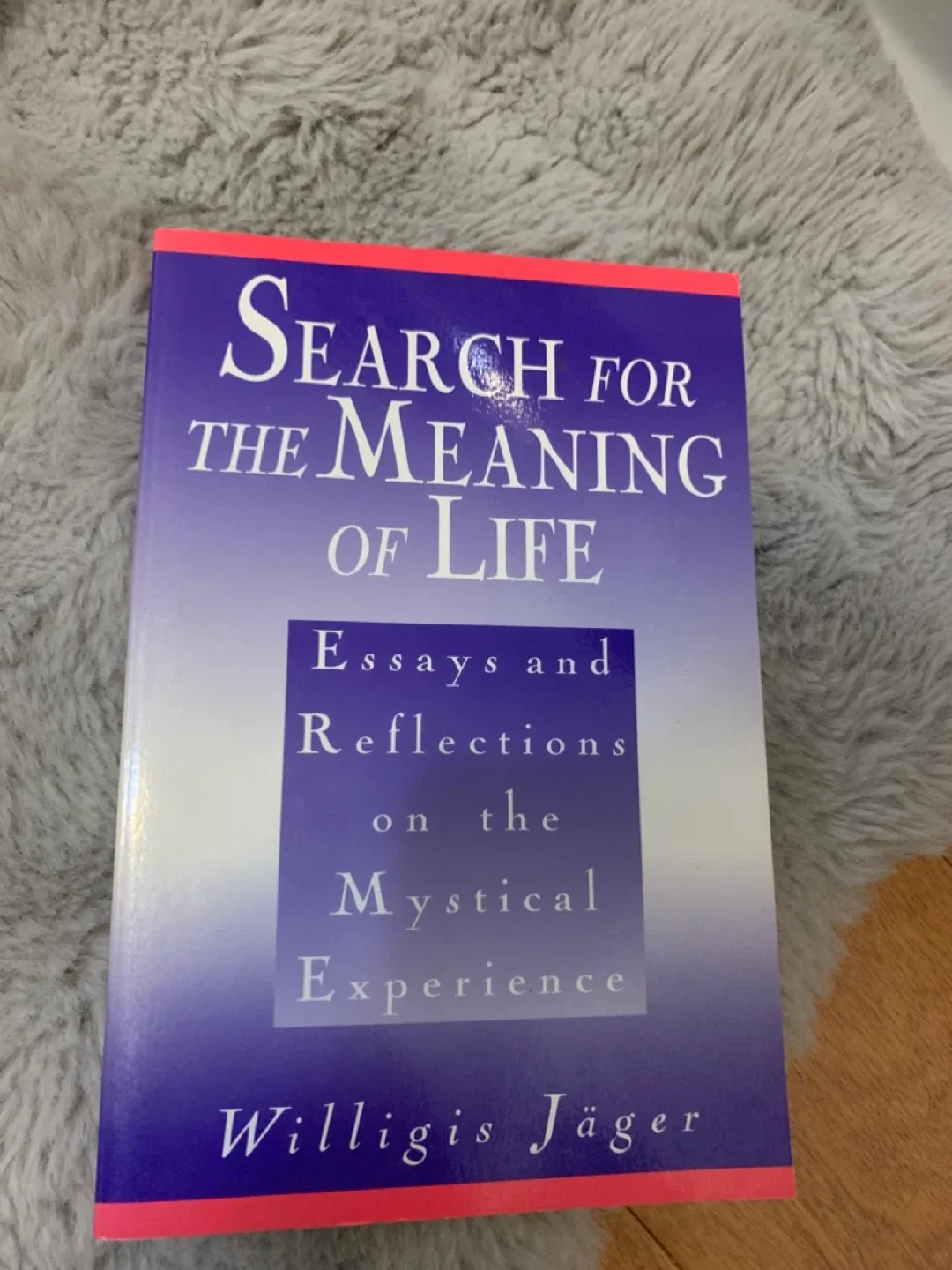 "Search for the Meaning of Life" by Willigis Jäger