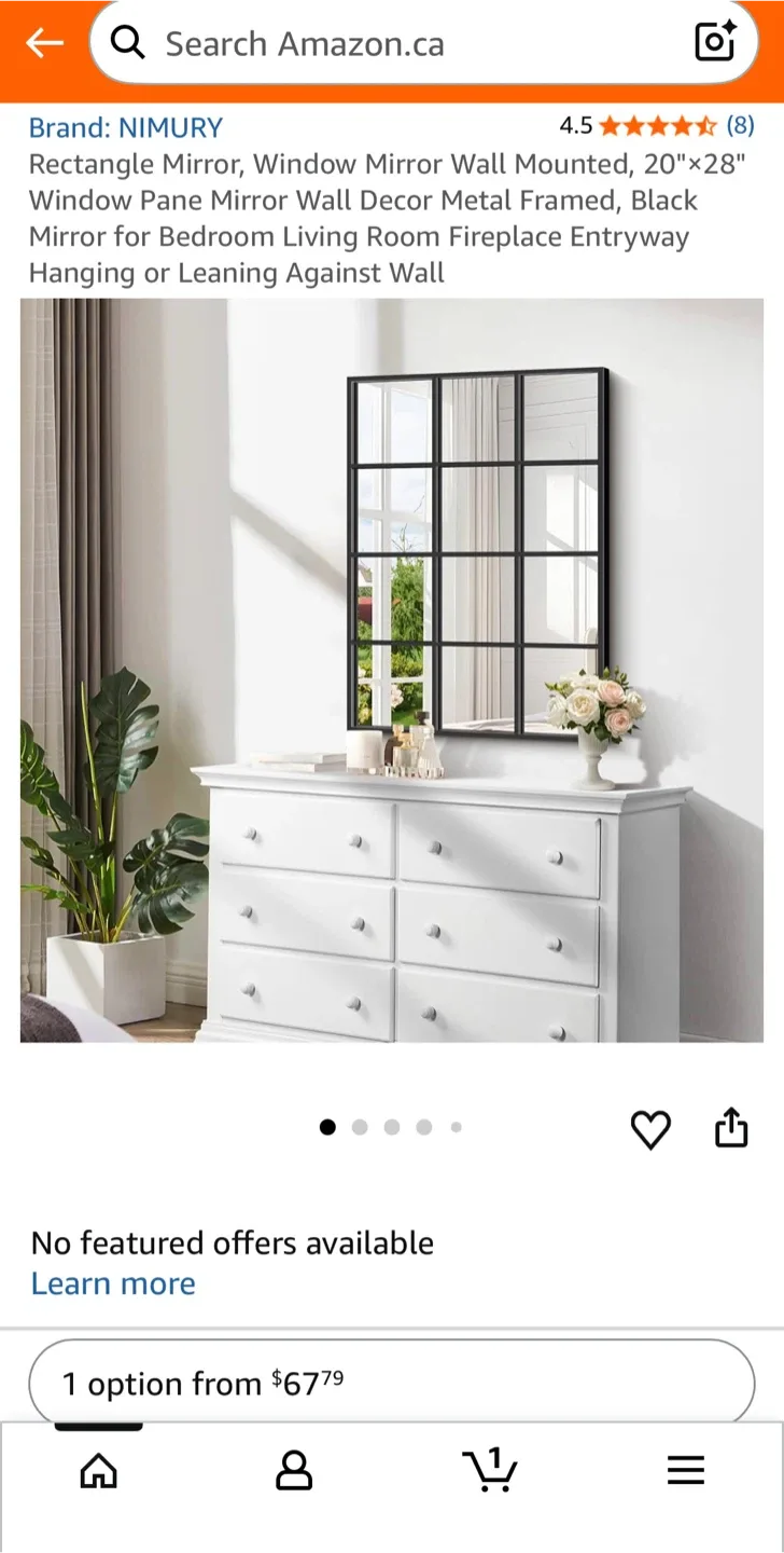 Black Wall Mirror (28x20in) image indicator(8)