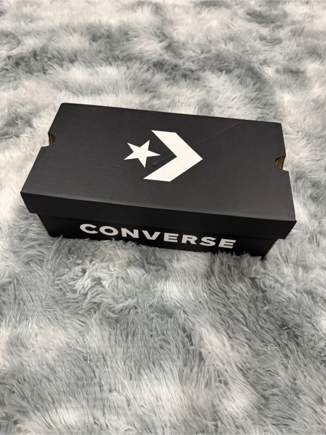 Converse All Star Leopard Print Shoes