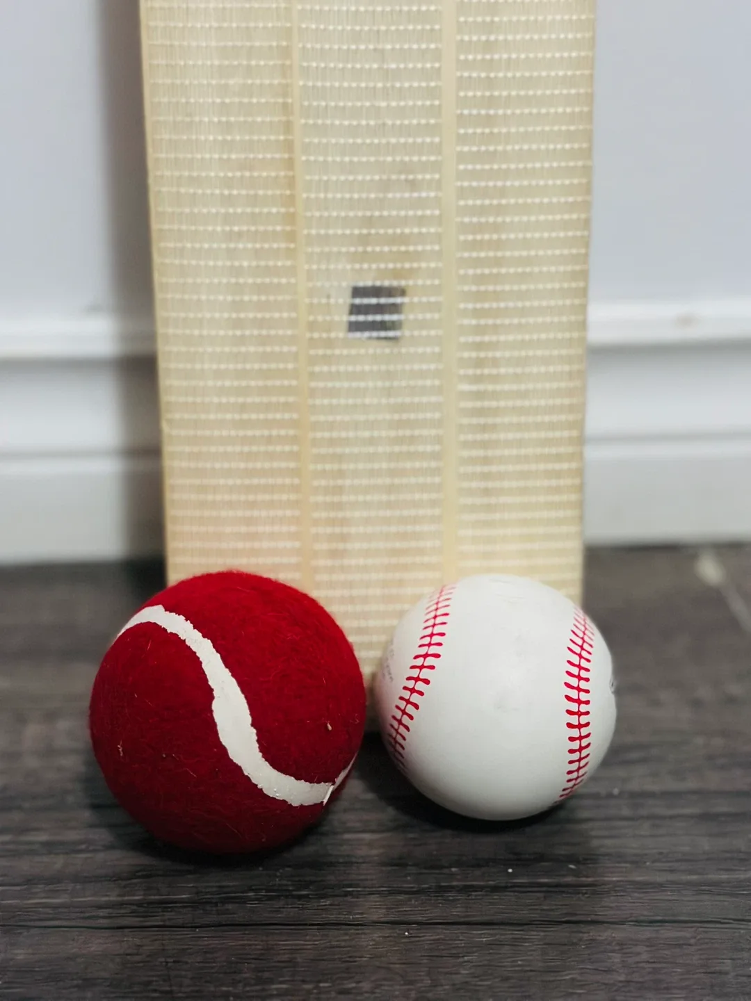 Adidas Libro Cricket Bat + 2 balls