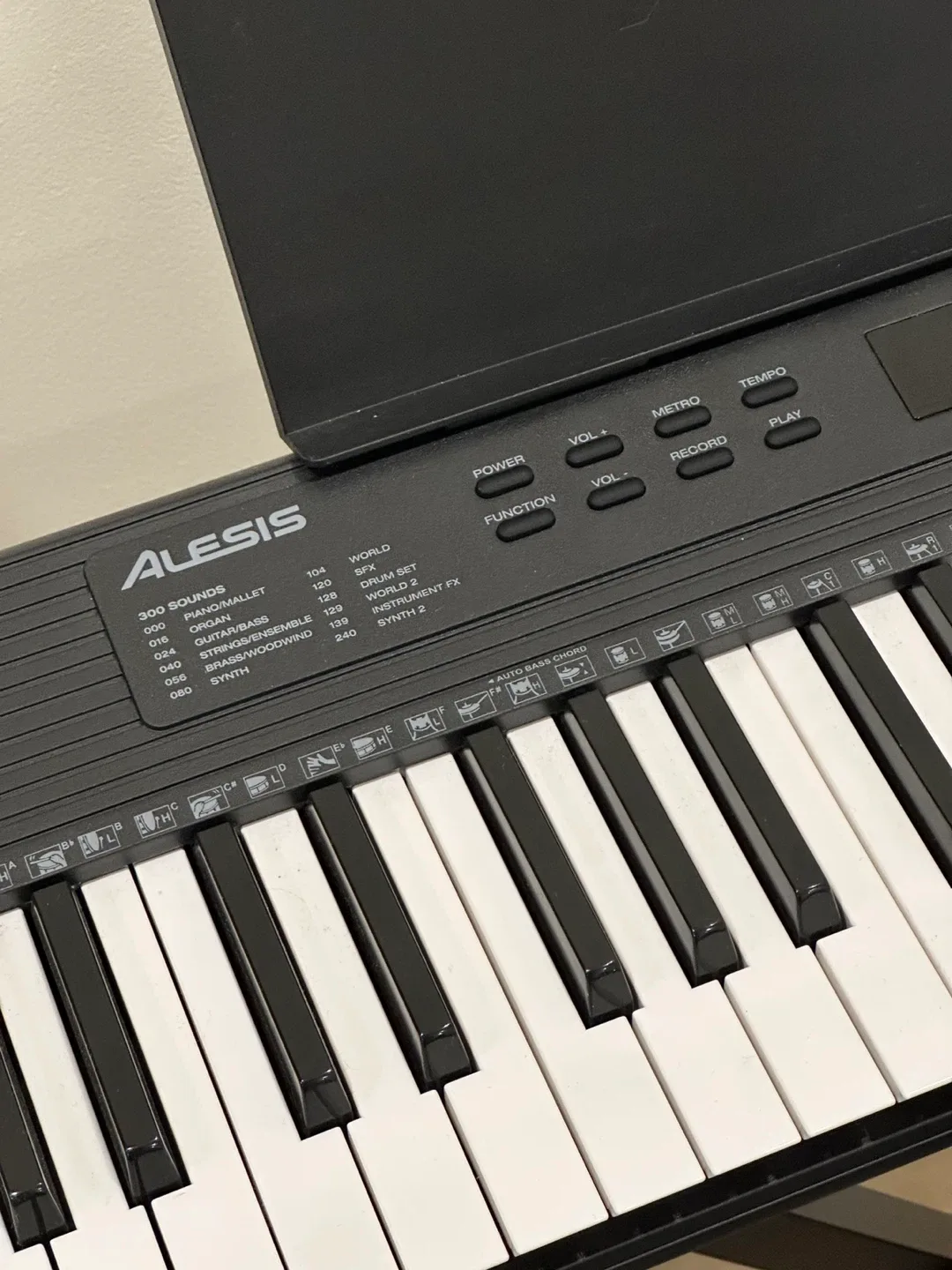 Alesis Melody 61 Key Keyboard with Stand and Bench image indicator(5)
