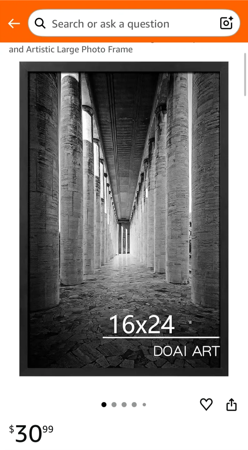 Poster/Photo Frame 16x24