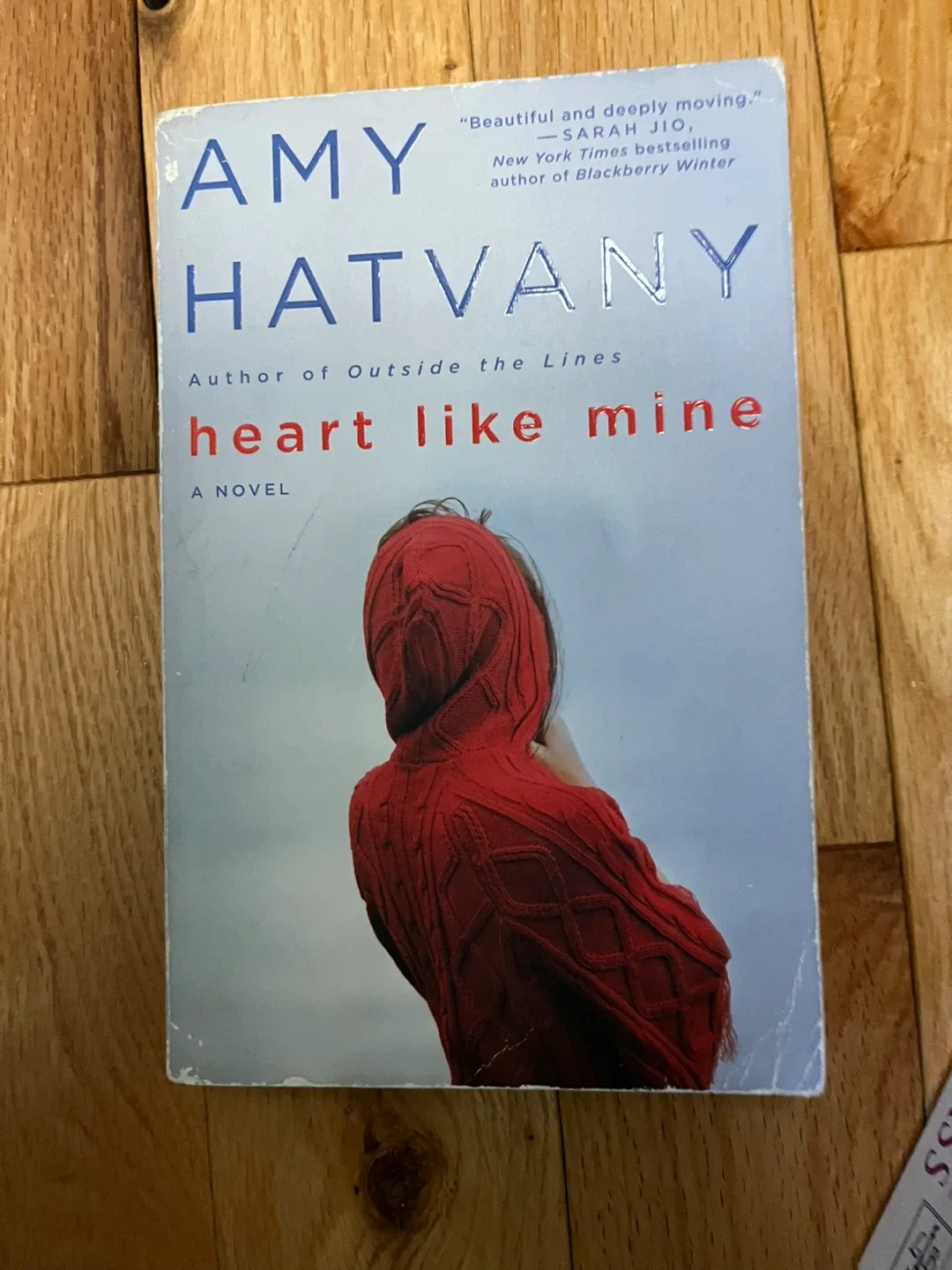 Heart Like Mine by Amy Hatvany