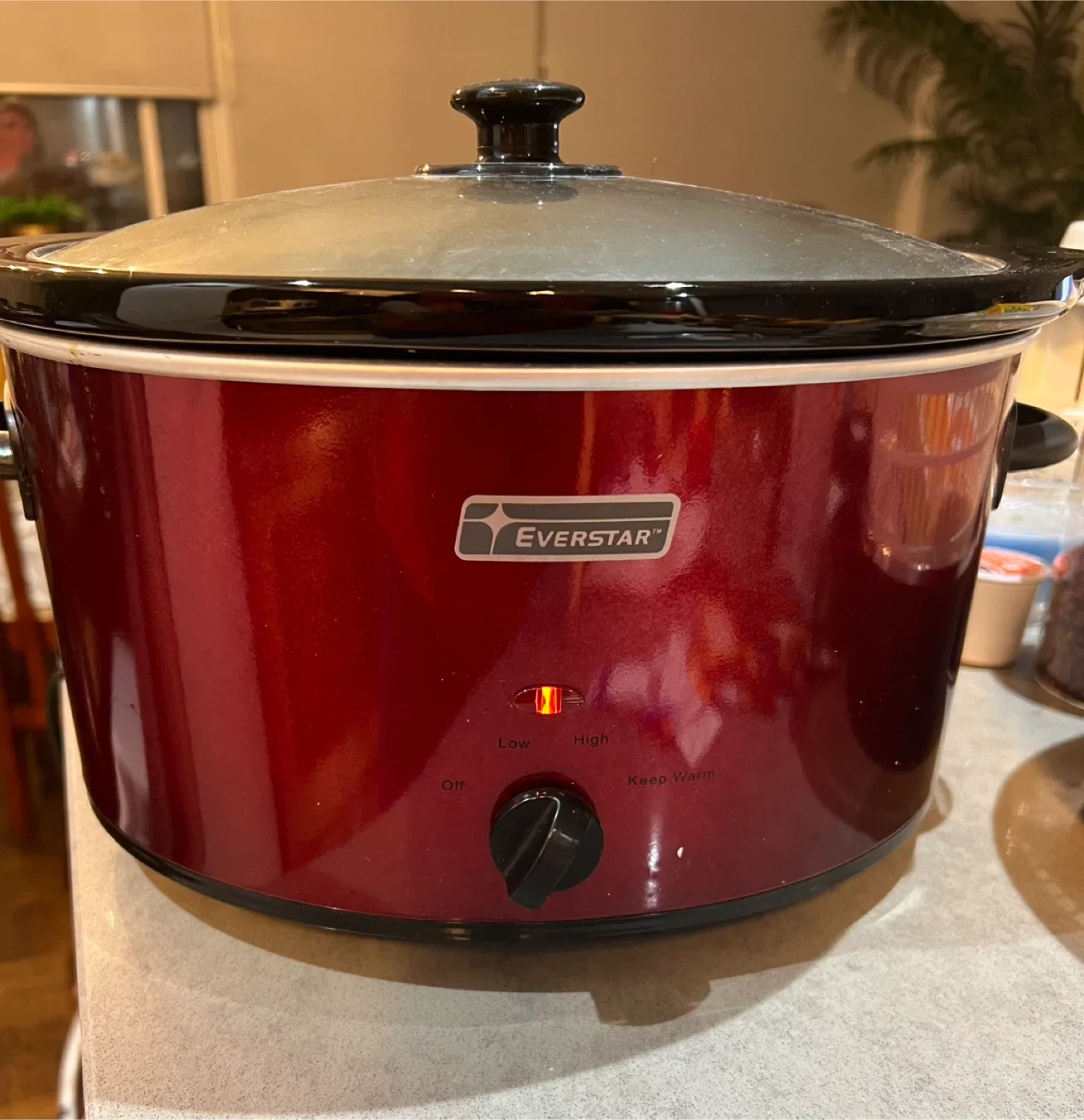 Everstar Slow Cooker