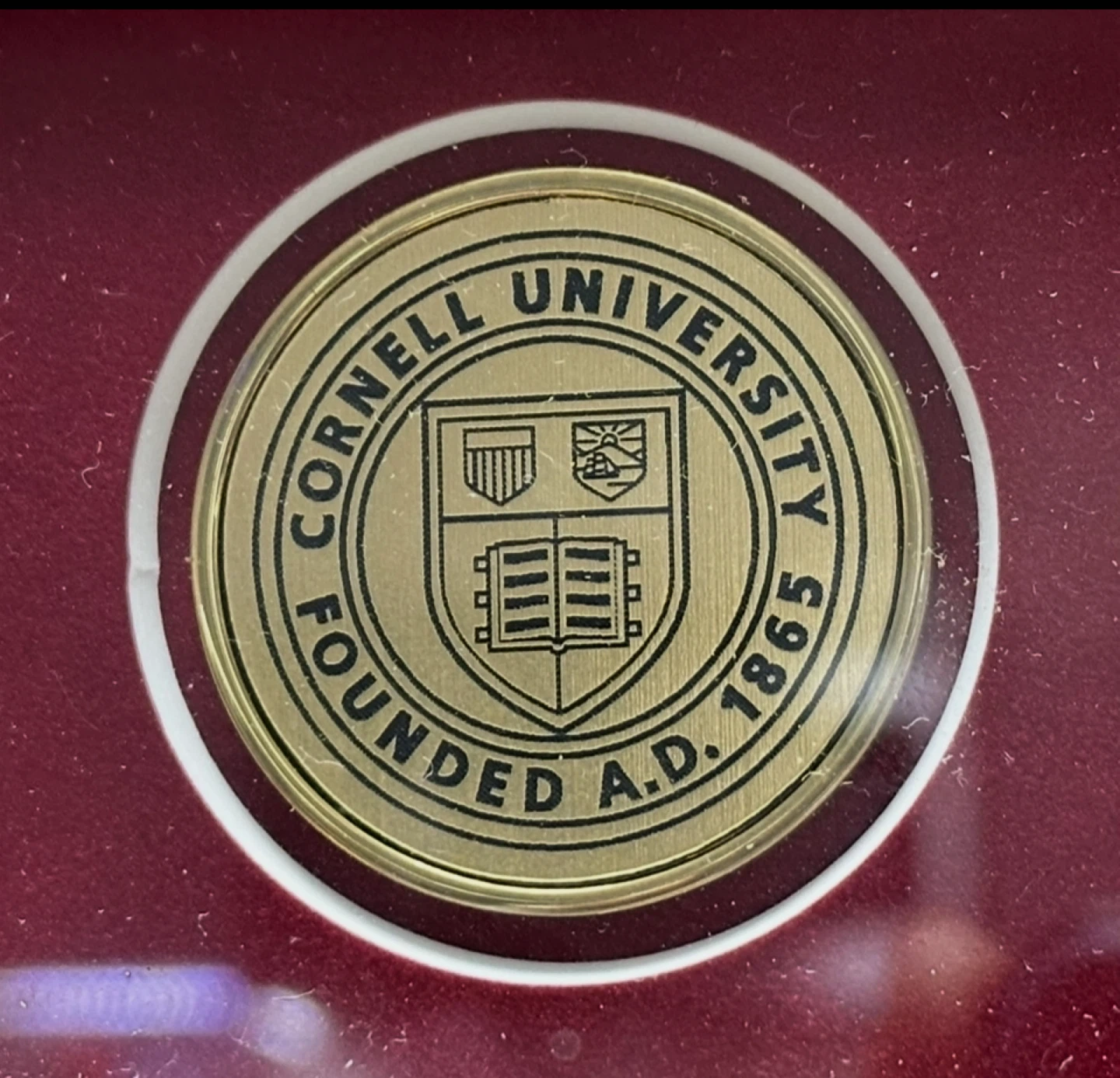 Cornell University Diploma Frame - photo 4