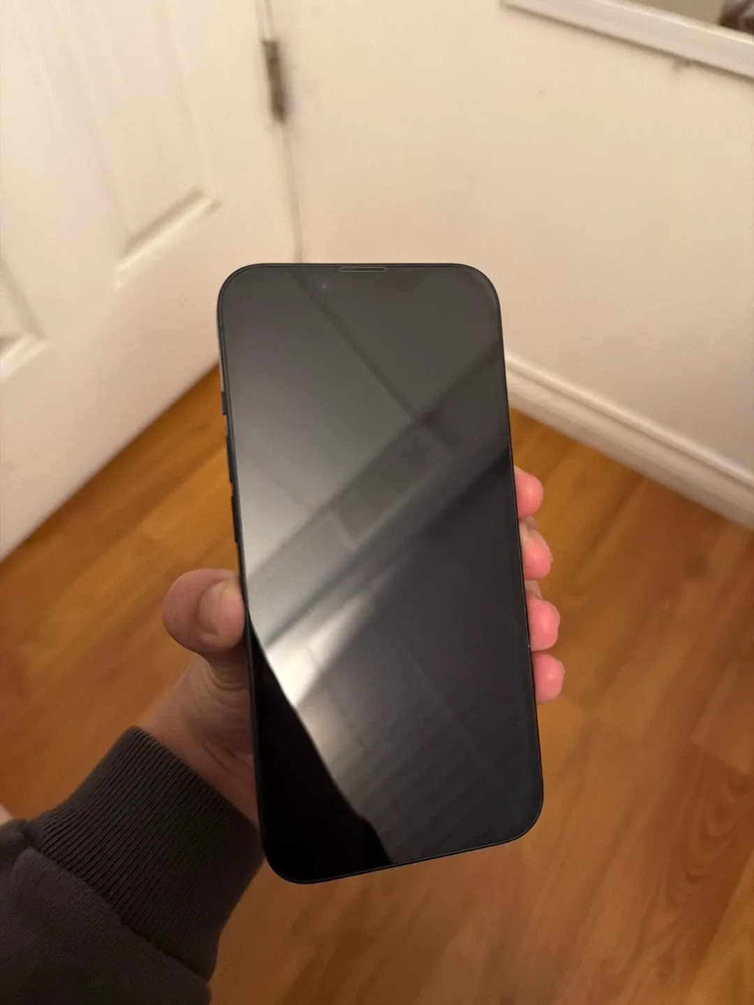 iPhone 14 image indicator(3)