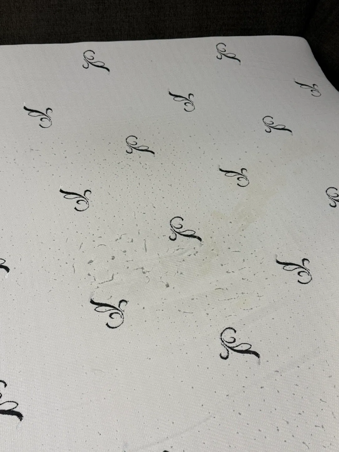 Grey Sofa Bed with queen mattress image indicator(4)