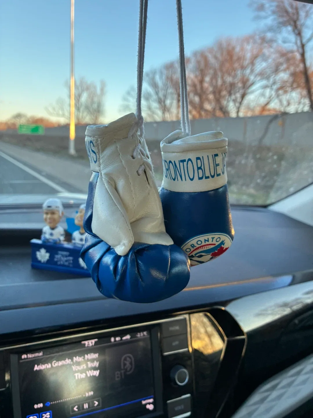 Toronto Blue Jays Boxing Glove Car Mirror Hangers