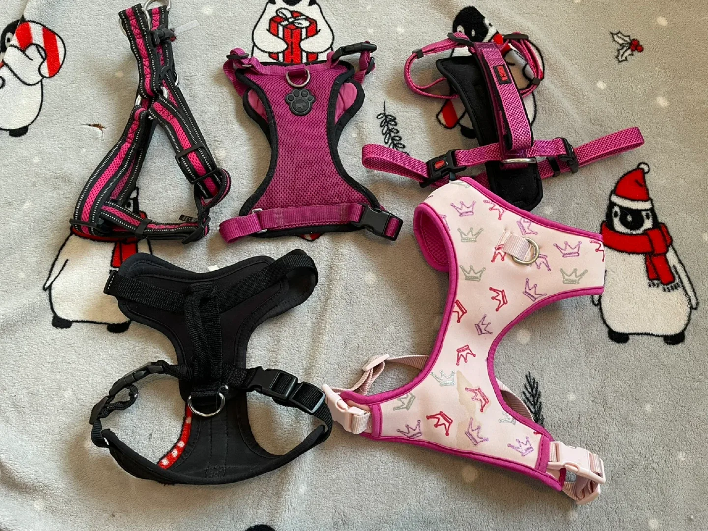 Medium Dog Harnesses Lot