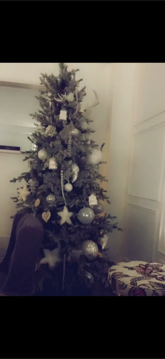 Beautiful Christmas Tree image indicator(3)