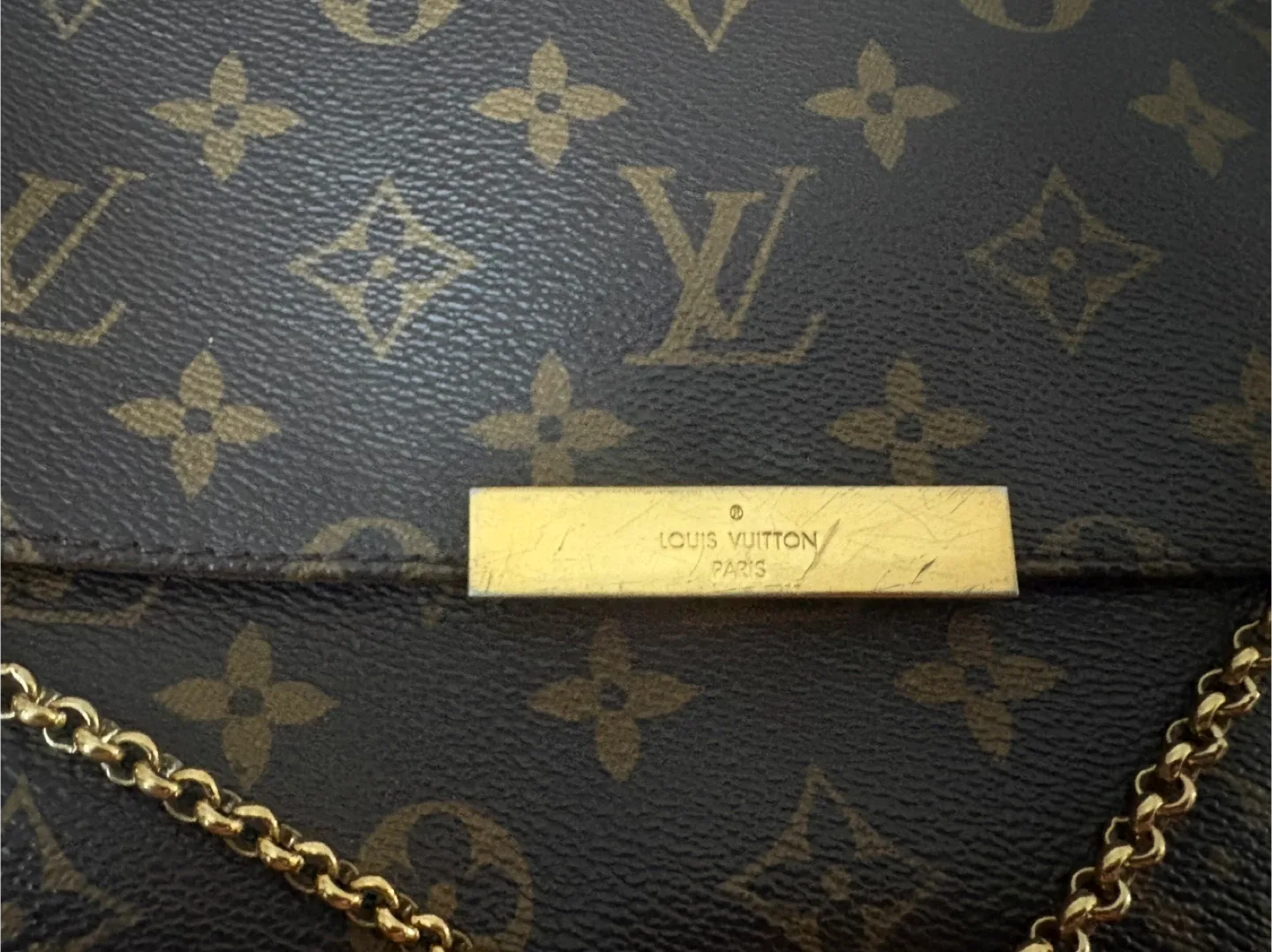 Louis Vuitton favourite MM image indicator(4)