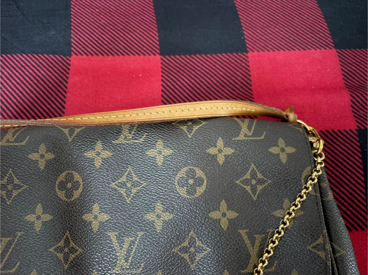 Louis Vuitton favourite MM image indicator(3)