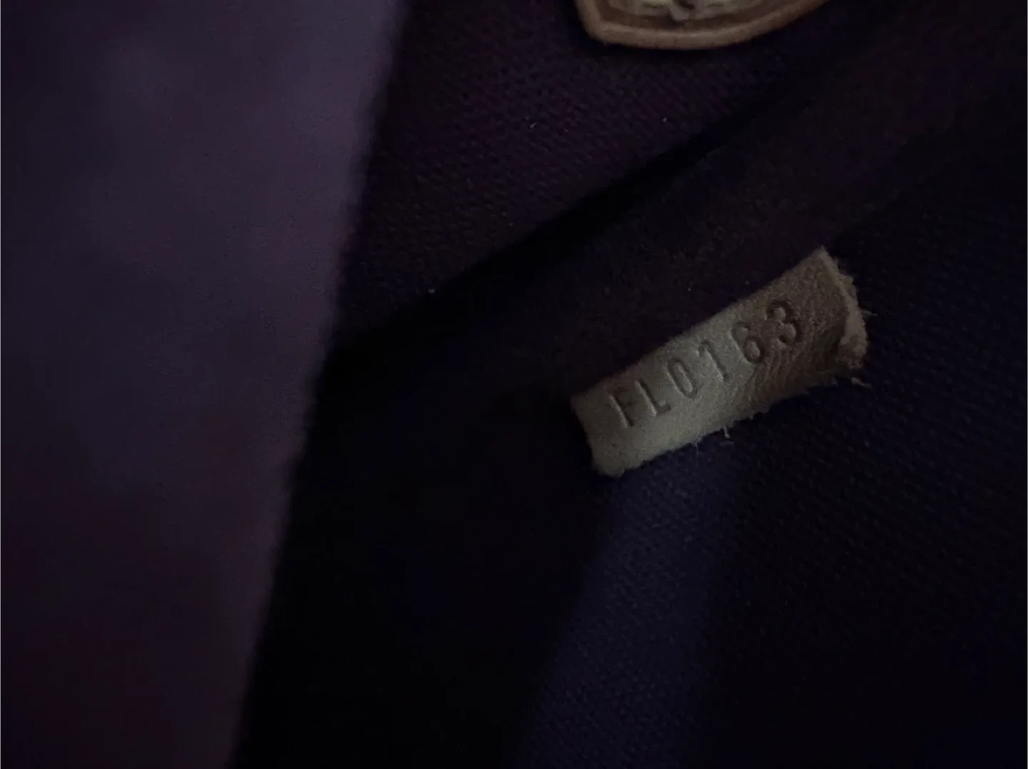 Louis Vuitton favourite MM image indicator(9)