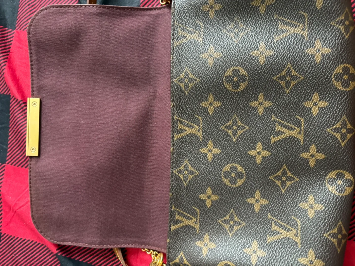 Louis Vuitton favourite MM image indicator(10)