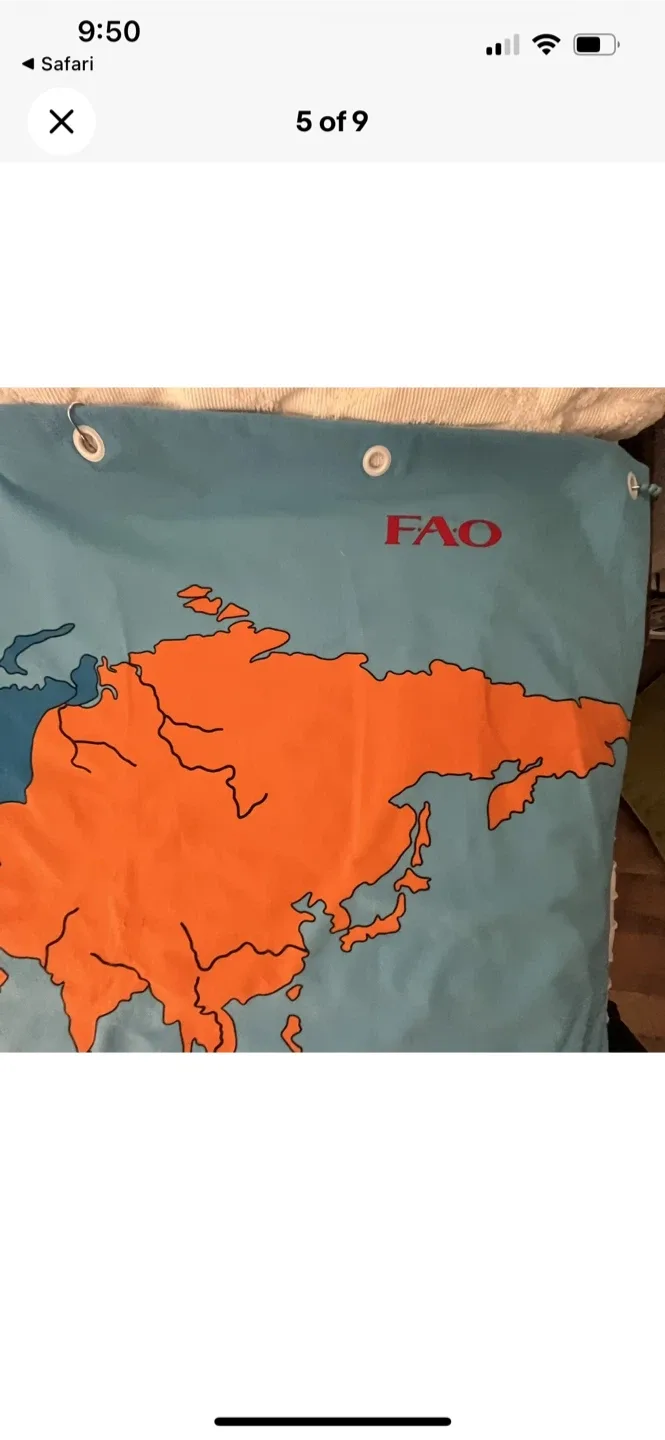 FAO Schwarz Giant World Map image indicator(6)