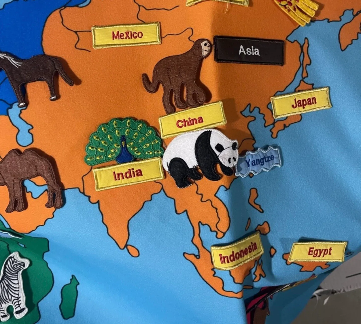 FAO Schwarz Giant World Map image indicator(10)