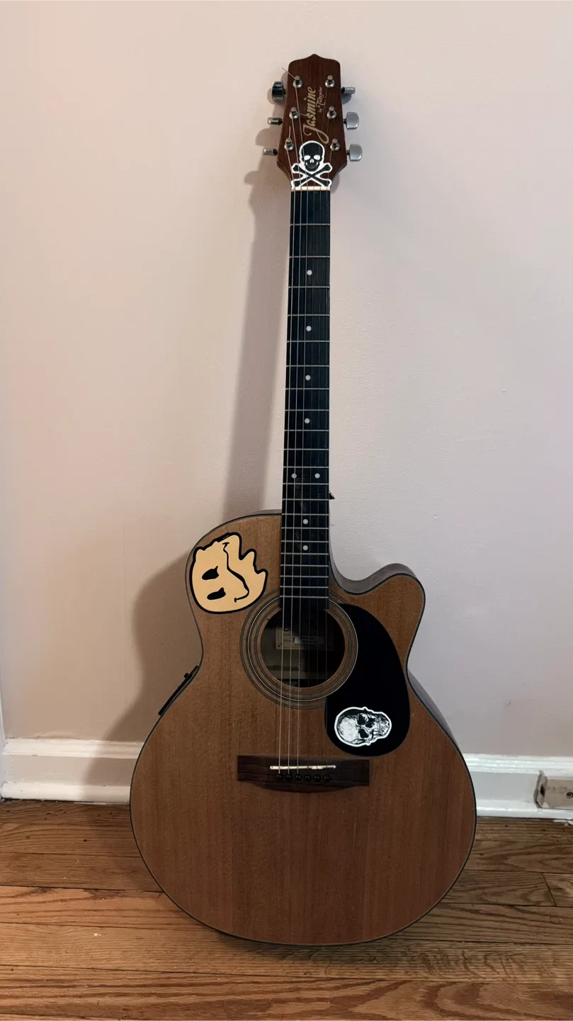 Jasmine by Takamine Acoustic Guitar