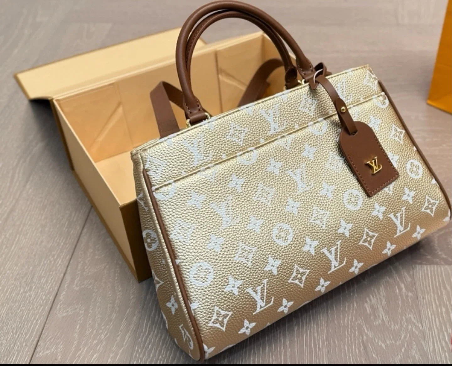 Louis Vuitton LV handbag