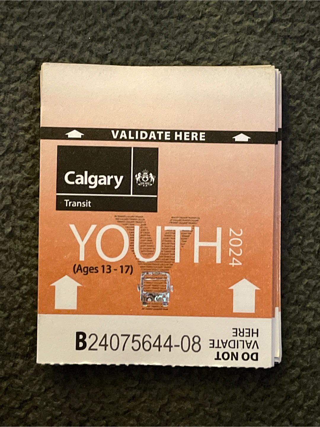 Youth tickets for sale - photo 2
