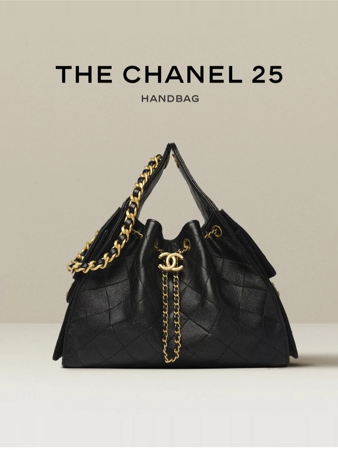Chanel 25 Handbag