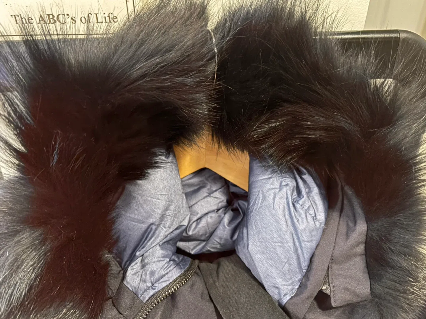 Canada Goose Parka - M/M image indicator(3)