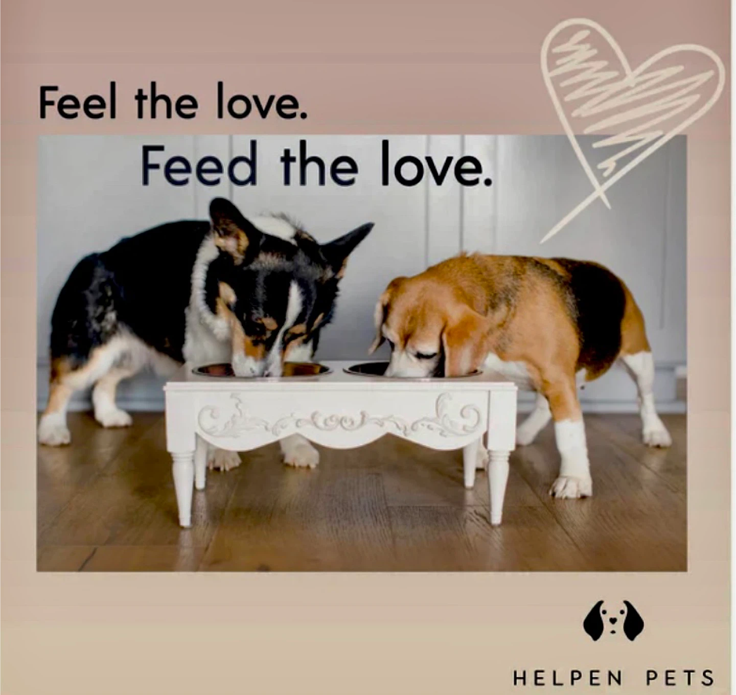 “French Chic” Elevated Pet Feeding Bowls - photo 2