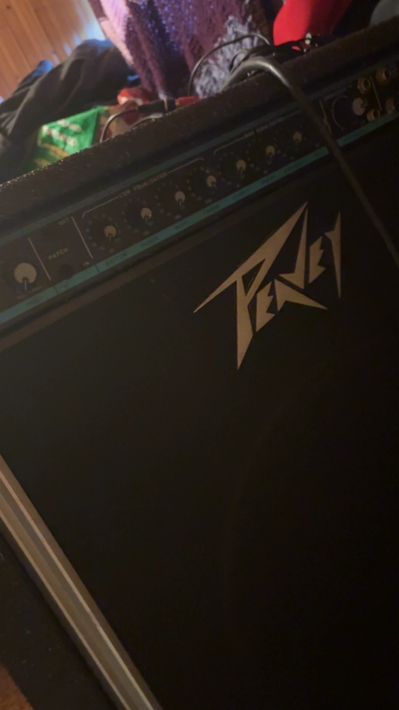 Peavey Amp guitar speaker