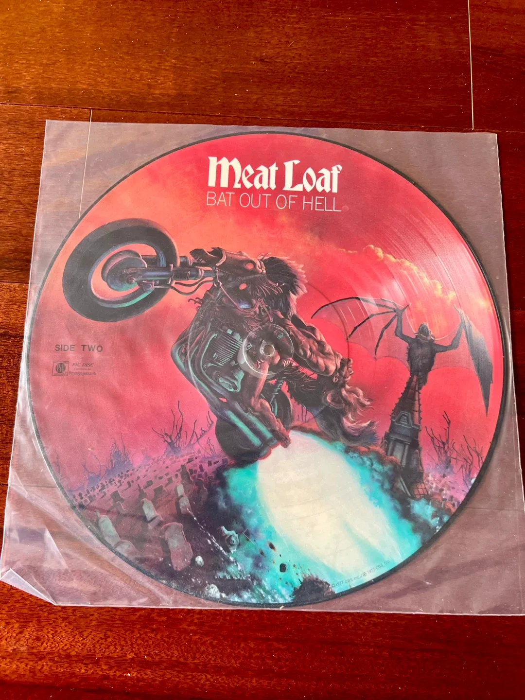 Meat Loaf - Bat Out Of Hell Picture Disc Vinyl image indicator(3)