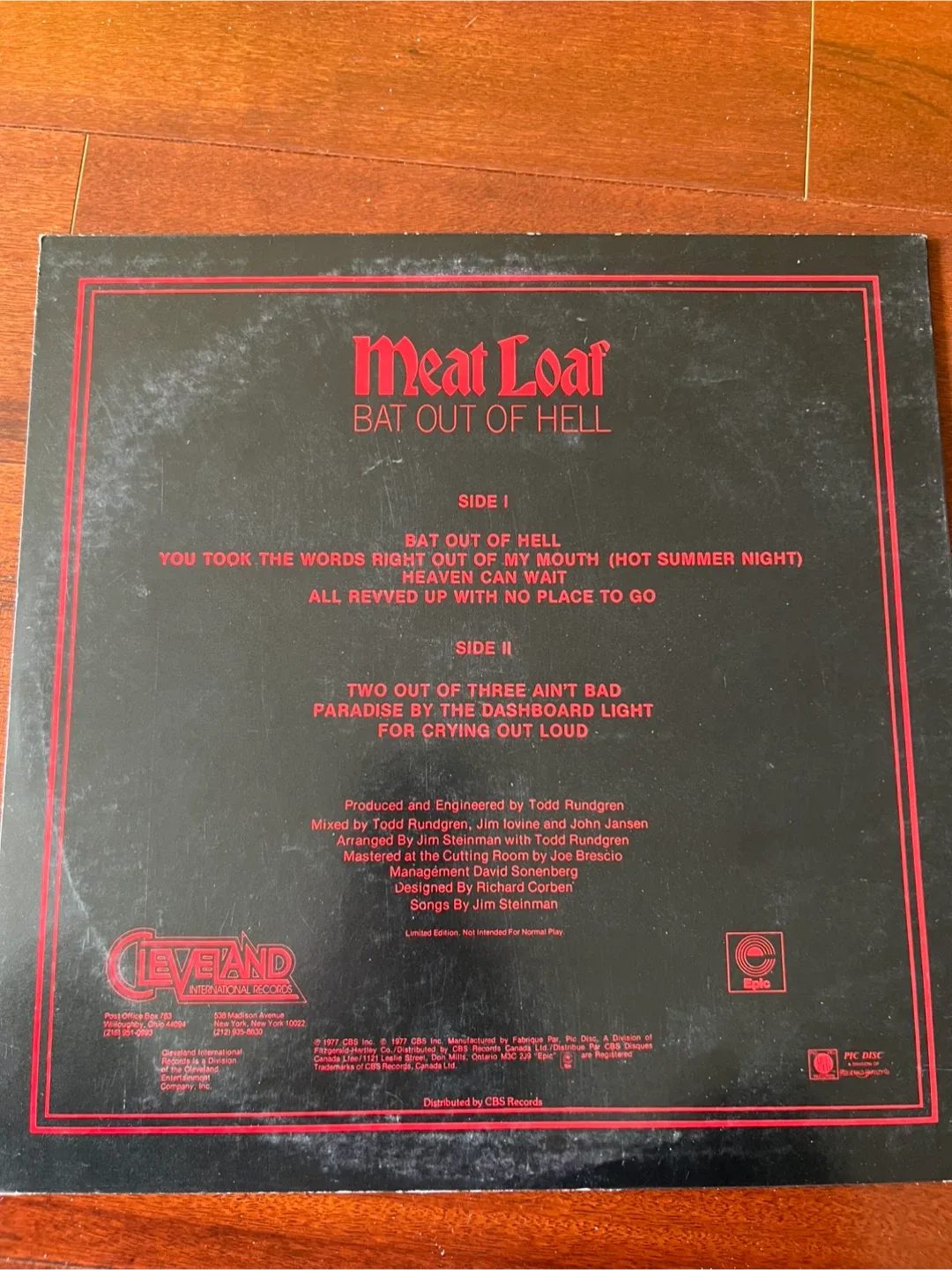 Meat Loaf - Bat Out Of Hell Picture Disc Vinyl image indicator(2)