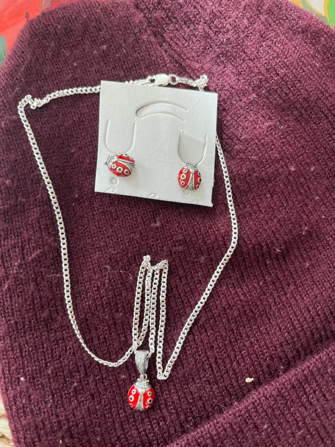 Ladybug Necklace & Earring Set