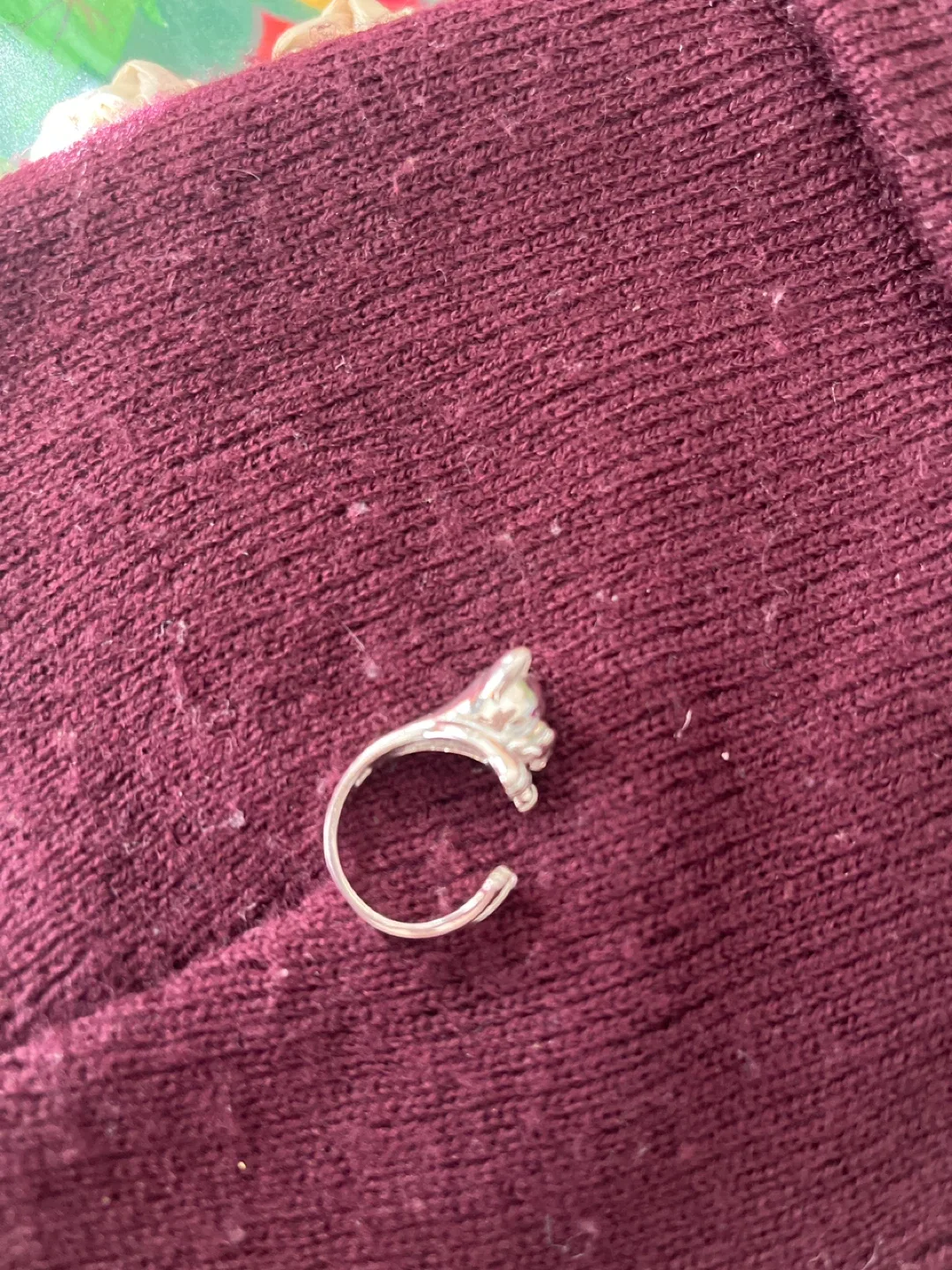 Dog Ring, Silver image indicator(2)