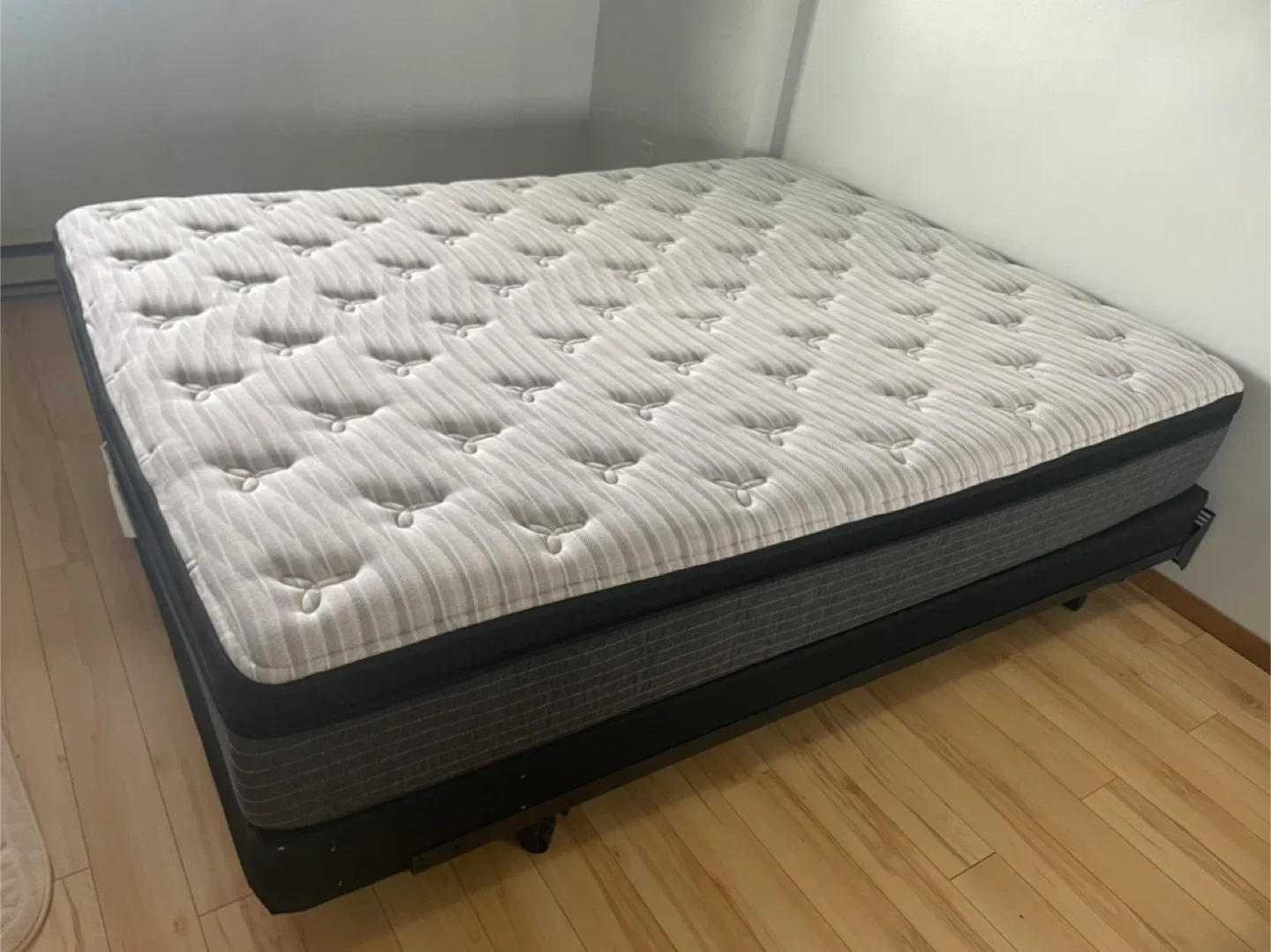 Queen Mattress & Box Spring & Frame & Protector Pad