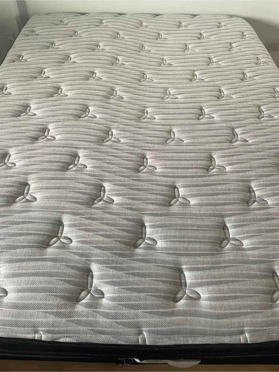 Queen Mattress & Box Spring & Frame & Protector Pad image indicator(4)