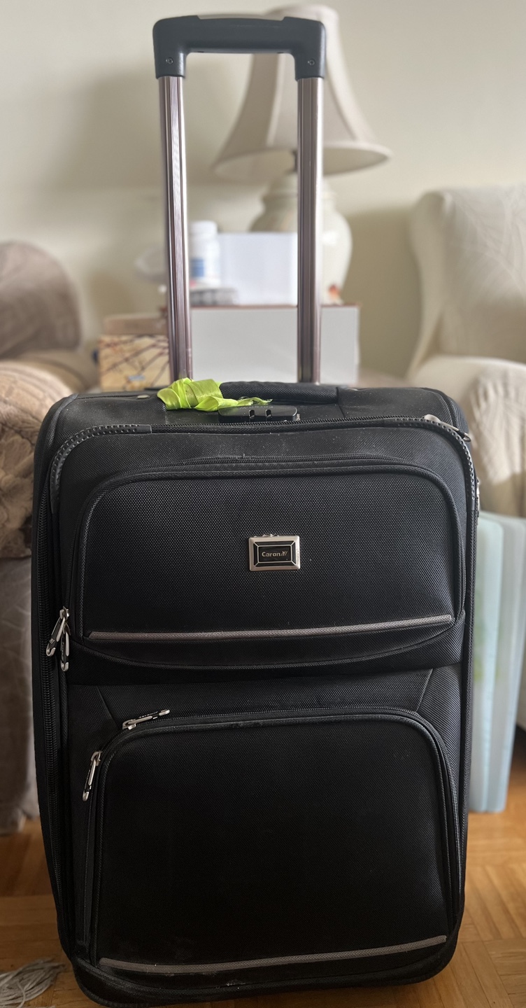 Carena Black Suitcase-24”