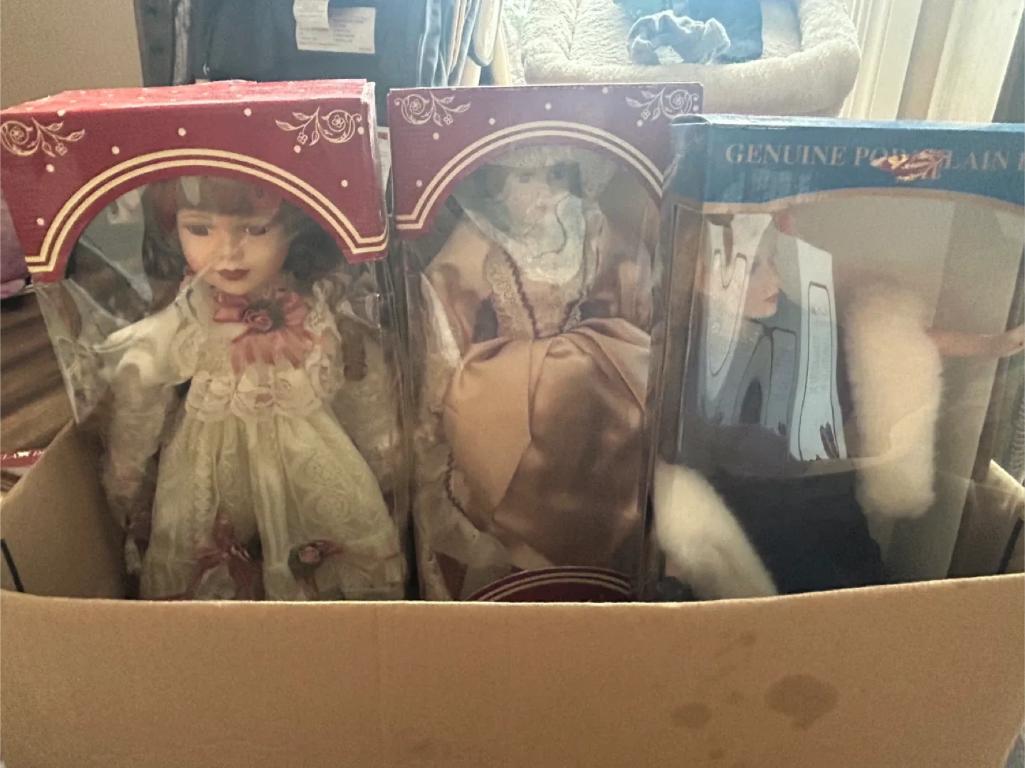 Porcelain doll Collection image indicator(2)