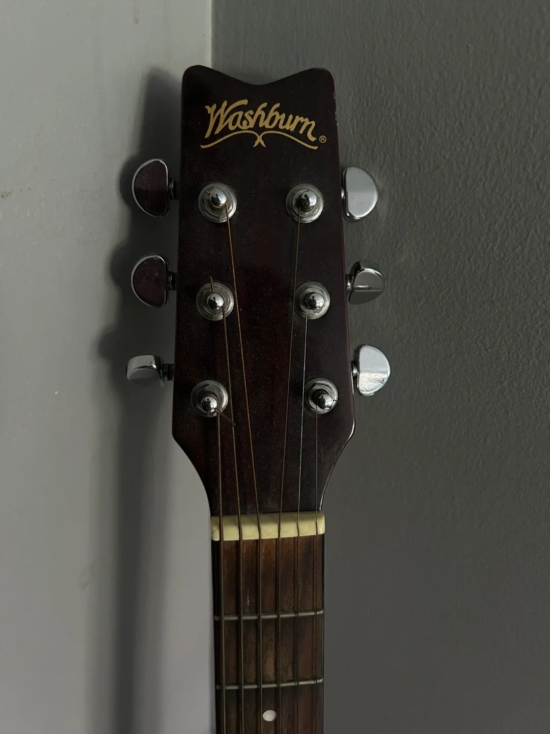 Washburn Acoustic Guitar image indicator(2)