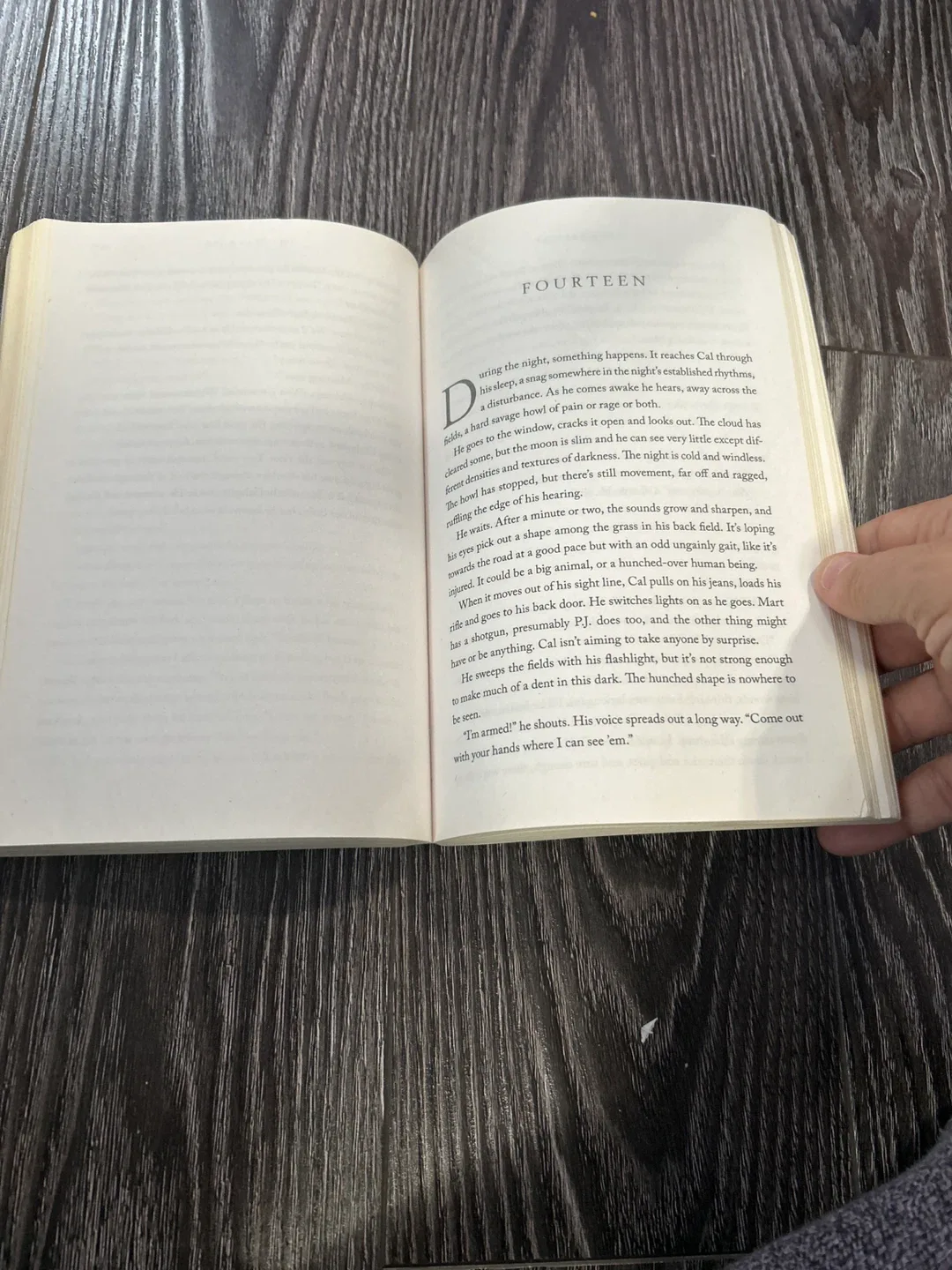 Tana French 'The Searcher' Novel #Cleanout image indicator(3)