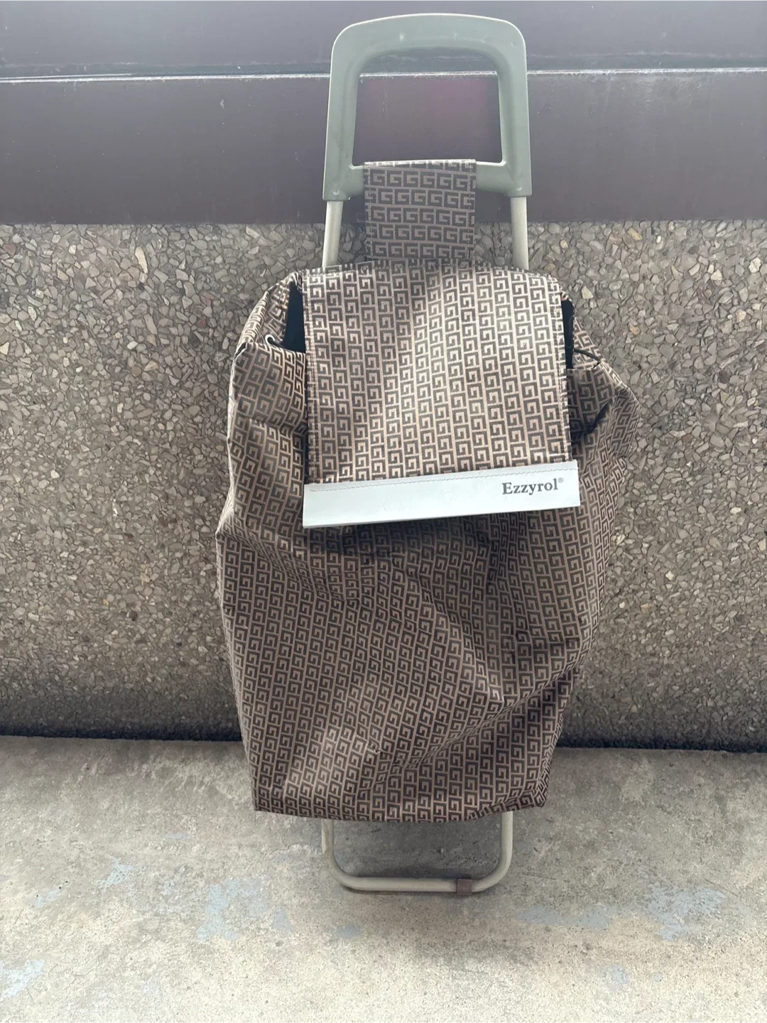 Ezzyrol Shopping Trolley Bag