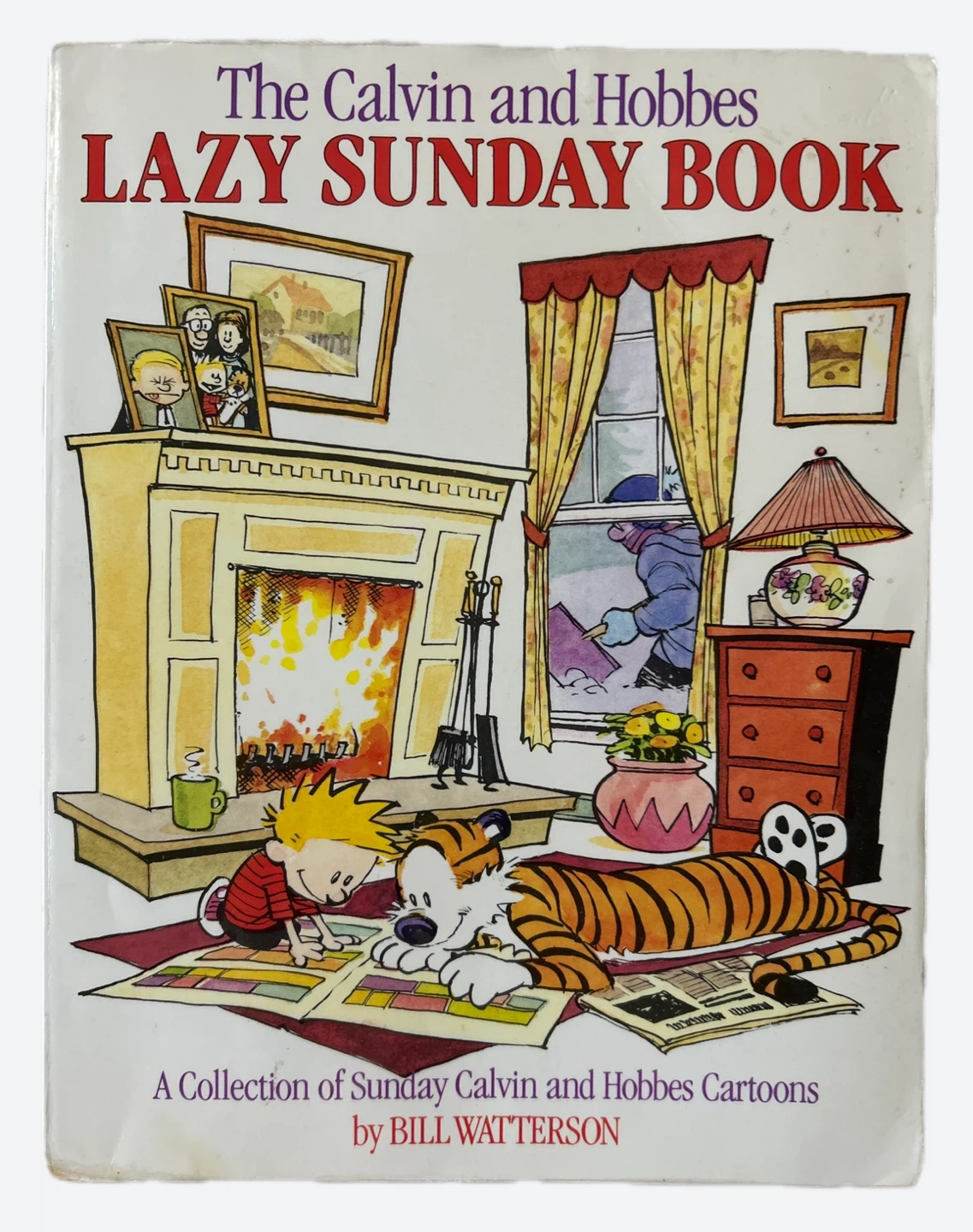 The Calvin and Hobbes Lazy Sunday Book