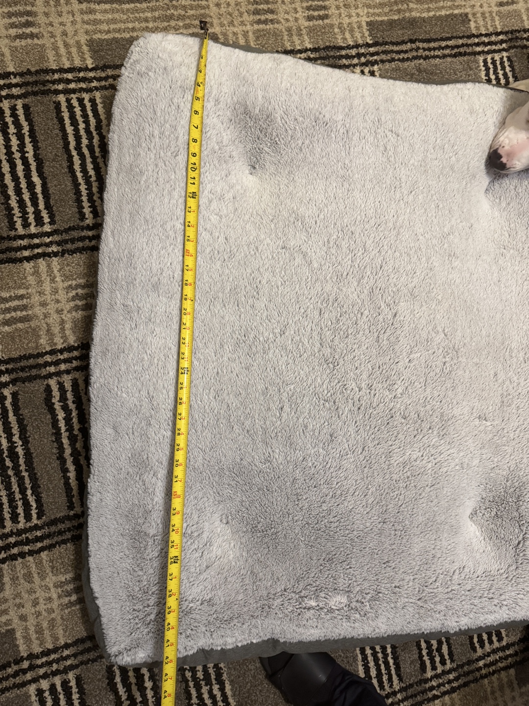 Dog Bed, 37x42 inches - photo 3