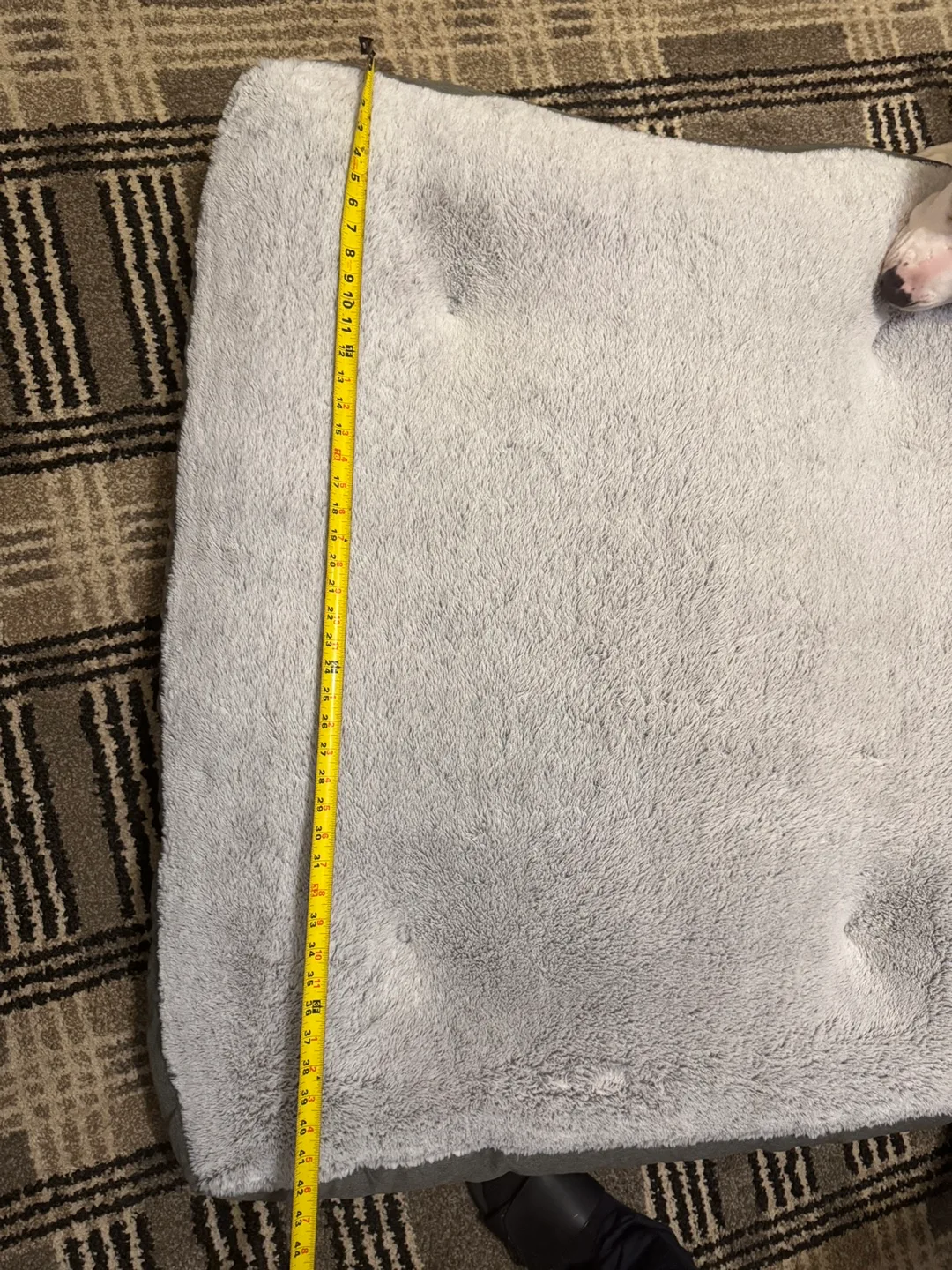 Dog Bed, 37x42 inches image indicator(3)