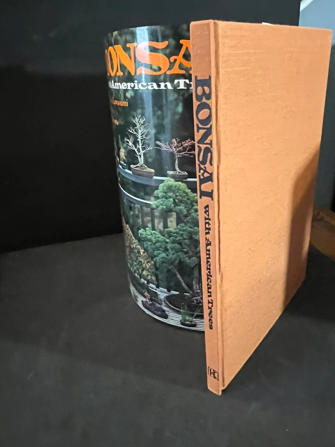 Bonsai with American Trees by Masakuni Kawasumi image indicator(3)