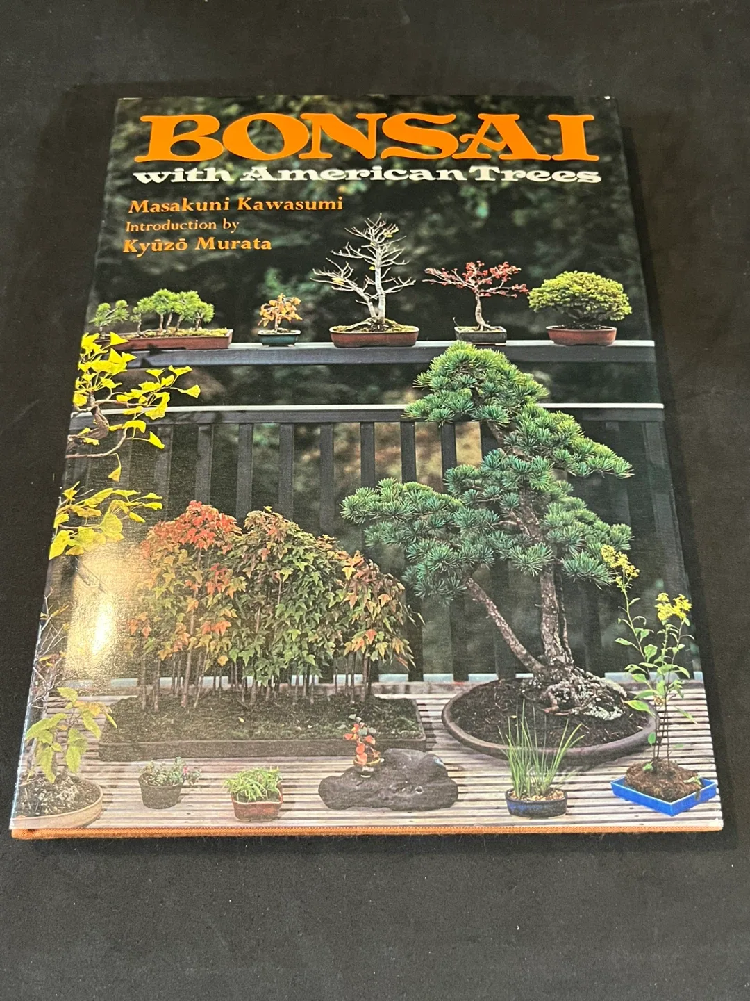 Bonsai with American Trees by Masakuni Kawasumi